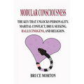Modular Consciousness