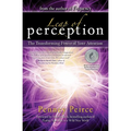 Leap of Perception: The Transforming Power of Your Attention