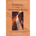 Stepping onto the Invisible Bridge: Courage for Every Season of Your Faith Journey