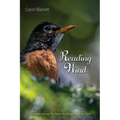 Reading Wind