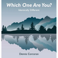 Which One Are You?: Identically Different