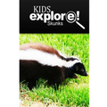 Skunks - Kids Explore: Animal books nonfiction - books ages 5-6