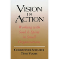 Vision in Action