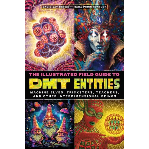 The Illustrated Field Guide to Dmt Entities: Machine Elves, Tricksters, Teachers, and Other Interdimensional Beings