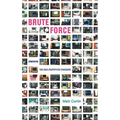 Brute Force: Cracking the Data Encryption Standard