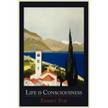 Life Is Consciousness