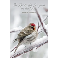 The Birds Are Singing In The Snow