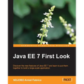 Java Ee 7 First Look