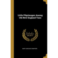 Little Pilgrimages Among Old New England Tnns