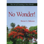 No Wonder!: The Art of Creating a New World