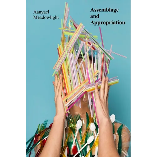 Assemblage and Appropriation: Found Objects, Recycled Materials, and the Narrative Potential of Installation
