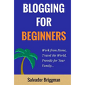 Blogging For Beginners: Work from Home, Travel the World, Provide for Your Family