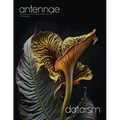 Antennae #65 Dataism