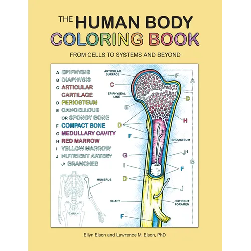 The Human Body Coloring Book: From Cells to Systems and Beyond