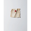 Henry Leutwyler: International Red Cross & Red Crescent Museum