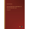 The Pony Rider Boys in New Mexico; Or, The End of the Silver Trail: in large print