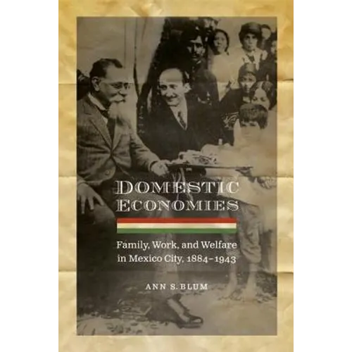 Domestic Economies: Family, Work, and Welfare in Mexico City, 1884-1943
