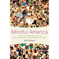 Mindful America C