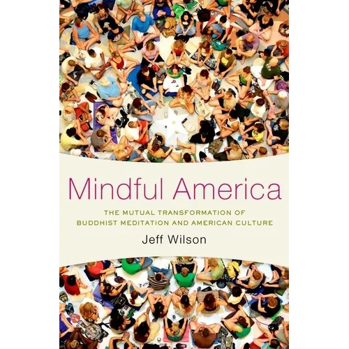 Mindful America C