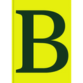 Serif in Use: Creative Typefaces and Their Applications