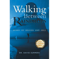 Walking Between Raindrops: Memes of Heaven and Hell