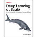Deep Learning at Scale: At the Intersection of Hardware, Software, and Data