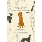 And a Dog Called Fig: Solitude, Connection, the Writing Life - Paperback