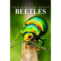 Beetles - Curious Kids Press: Kids book about animals and wildlife, Children's books 4-6