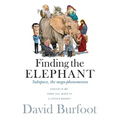 Finding the Elephant: Subspace, the Mega-phenomenon