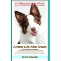 Animal Life After Death & Animal Reincarnation: Pet Loss Answers for all your heart's Questions!