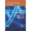 Enzyme Responsive Drug Delivery System
