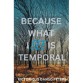 Because What I See Is Temporal