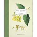 Vintage Botany Prints: Vol. 9