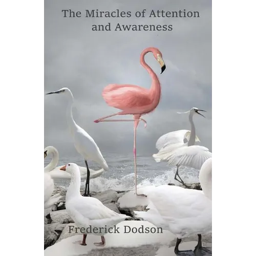 The Miracles of Attention and Awareness