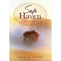 Safe Haven: A Historical Novel