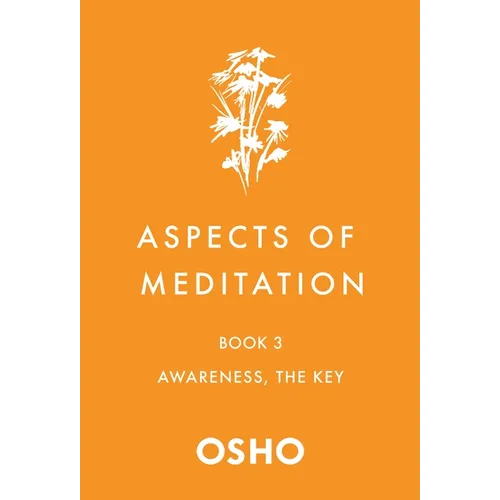 Aspects of Meditation Book 3: Awareness, the Key