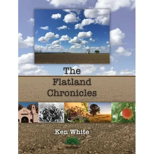 The Flatland Chronicles