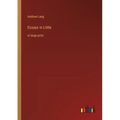 Essays in Little: in large print