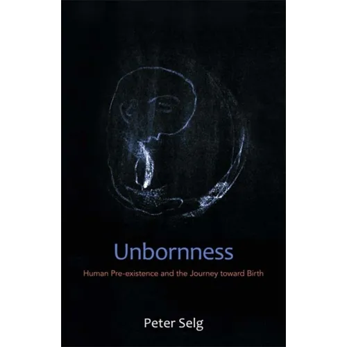 Unbornness: Human Pre-Existence and the Journey Toward Birth - Paperback