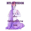 Bits of Wisdom: Lightworker's Log