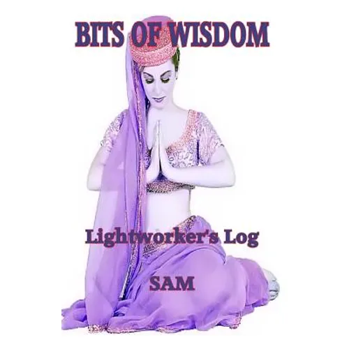 Bits of Wisdom: Lightworker's Log
