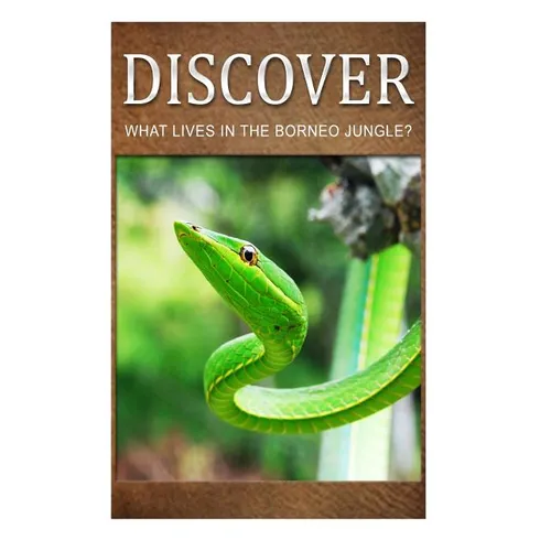What Lives in the Borneo Jungle? - Discover: Early reader's wildlife photography book