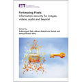 Fortressing Pixels: Information Security for Images, Videos, Audio and Beyond