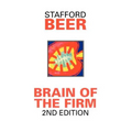Brain of the Firm