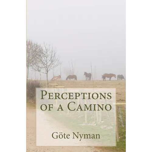 Perceptions of a Camino