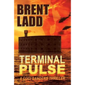 Terminal Pulse: A Codi Sanders Thriller