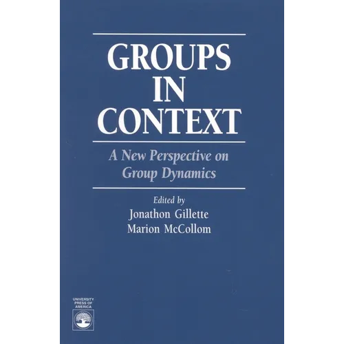 Groups in Context: A New Perspective on Group Dynamics