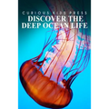 Discover The Deep Ocean Life - Curious Kids Press: Kids book about animals and wildlife, Children's books 4-6