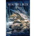 Beautiful Blue & You