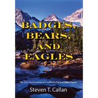 Badges Bears and Eagles - Paperback